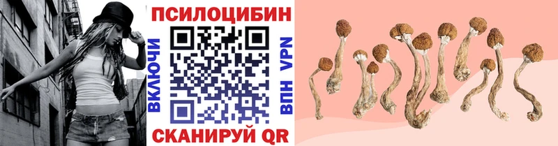 Псилоцибиновые грибы ЛСД  Александровск 
